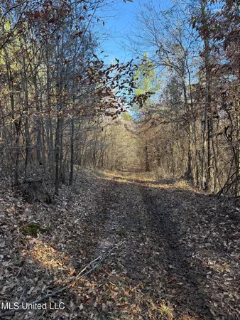 $700,000 | 1145 Ludlow Road, Lena, MS 39094