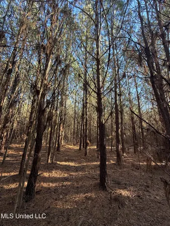 $700,000 | 1145 Ludlow Road, Lena, MS 39094