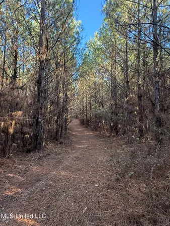 $700,000 | 1145 Ludlow Road, Lena, MS 39094