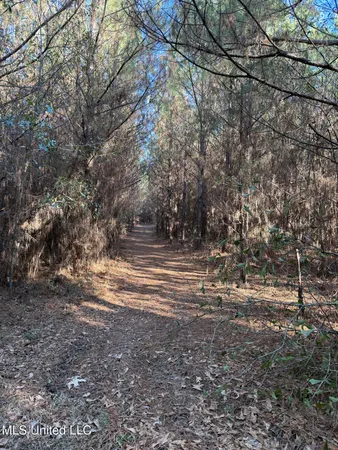 $700,000 | 1145 Ludlow Road, Lena, MS 39094