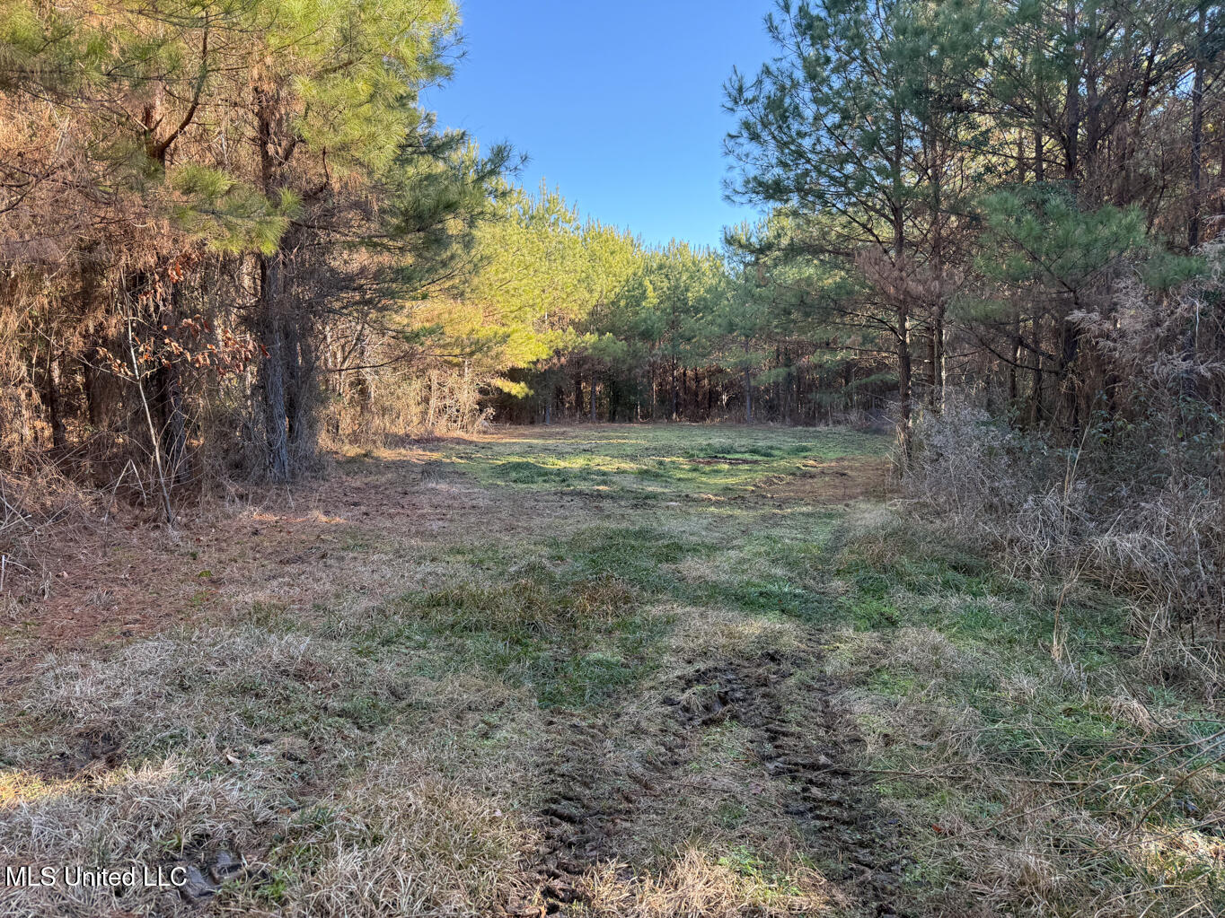 1145 Ludlow Road Lena, MS 39094 - Photo 63 of 76 Leake 250 resized-60