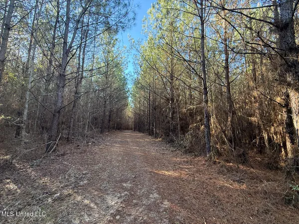 $700,000 | 1145 Ludlow Road, Lena, MS 39094