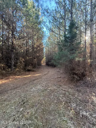 $700,000 | 1145 Ludlow Road, Lena, MS 39094
