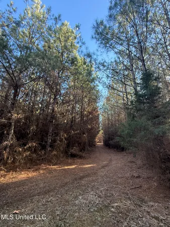 $700,000 | 1145 Ludlow Road, Lena, MS 39094
