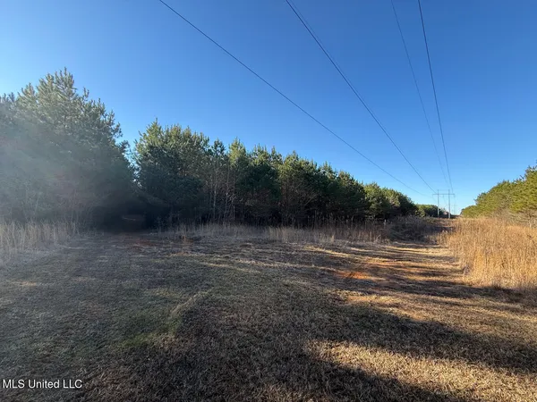 $700,000 | 1145 Ludlow Road, Lena, MS 39094