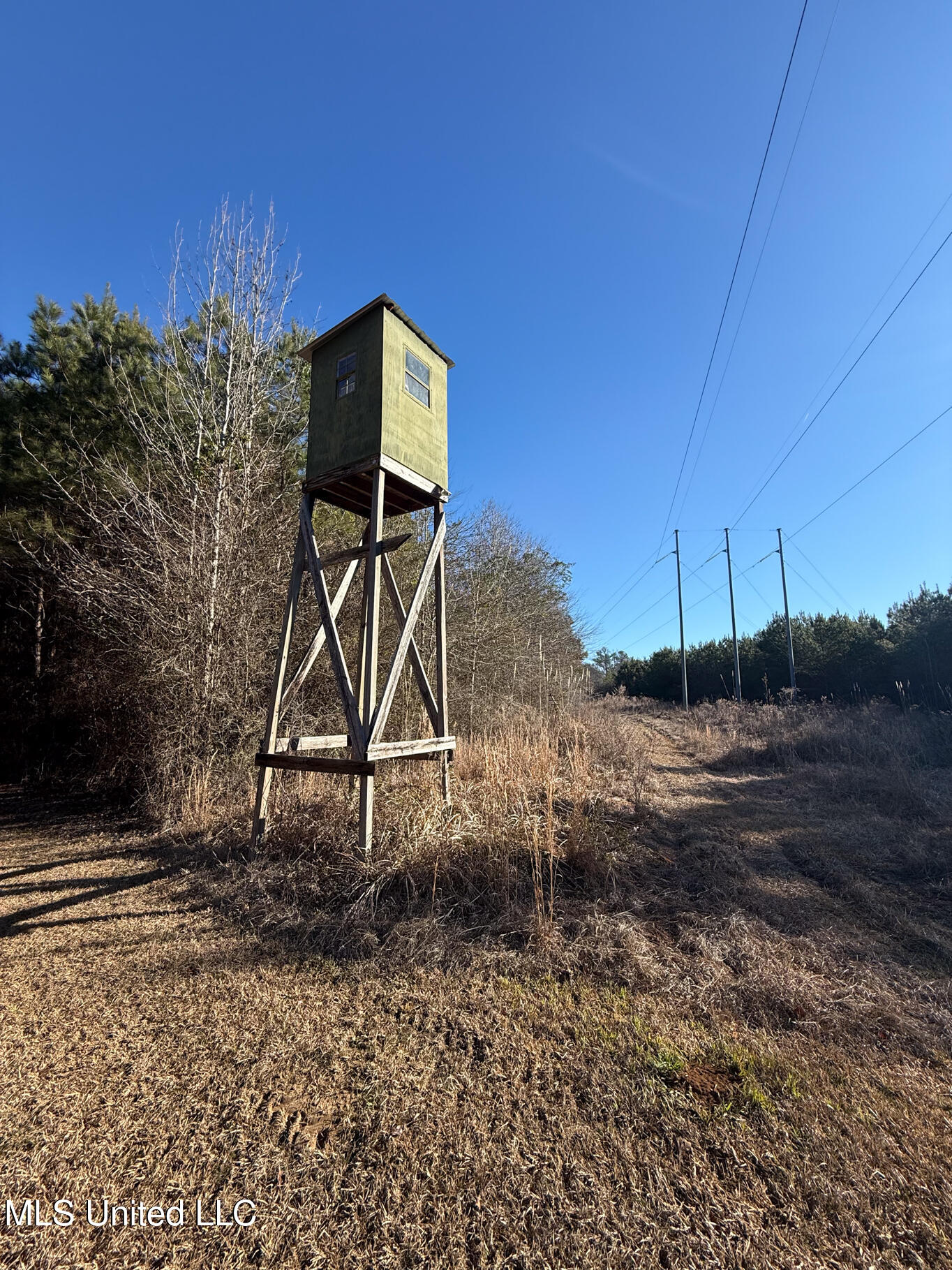 1145 Ludlow Road Lena, MS 39094 - Photo 68 of 76 Leake 250 resized-68