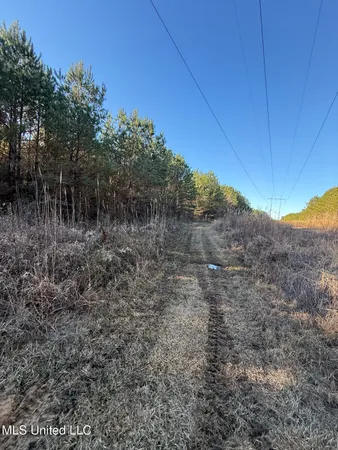 $700,000 | 1145 Ludlow Road, Lena, MS 39094