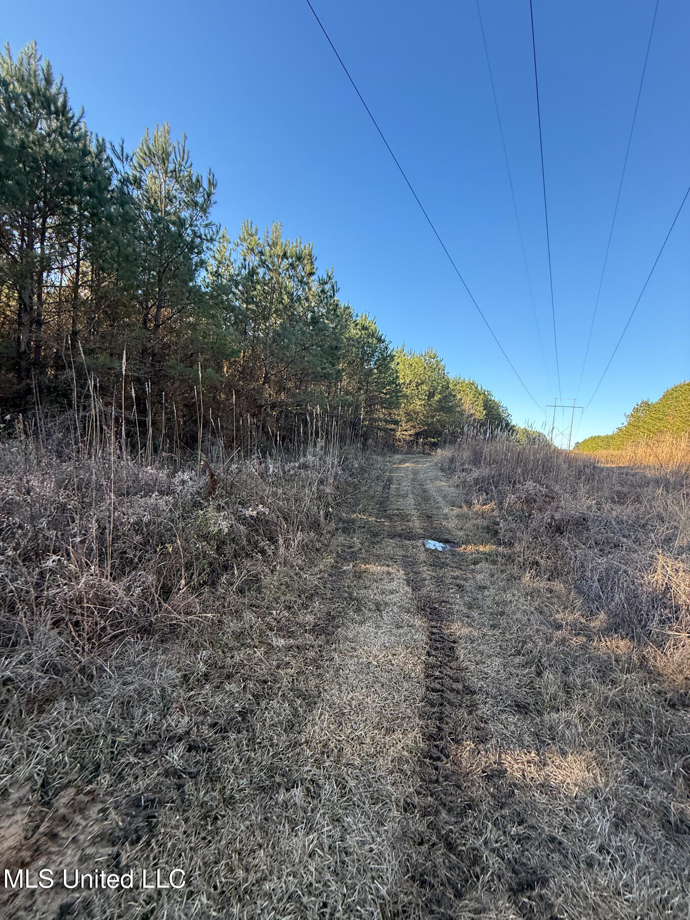 1145 Ludlow Road Lena, MS 39094 - Photo 69 of 76 Leake 250 resized-69