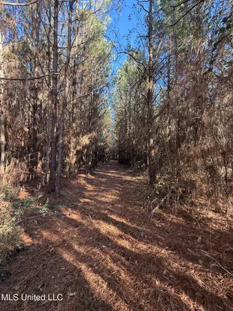 $700,000 | 1145 Ludlow Road, Lena, MS 39094