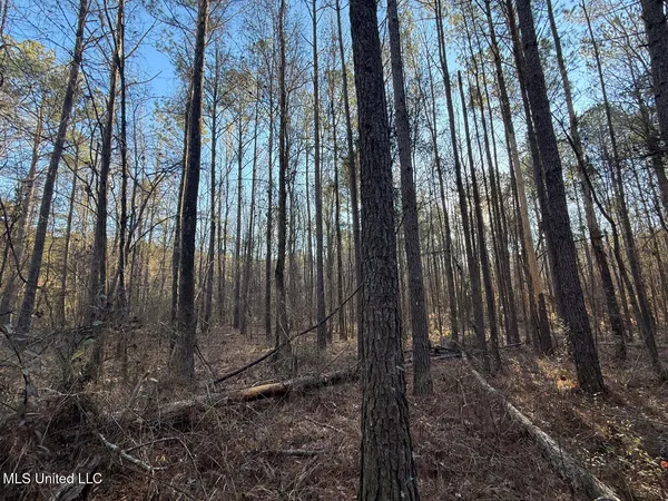 $700,000 | 1145 Ludlow Road, Lena, MS 39094