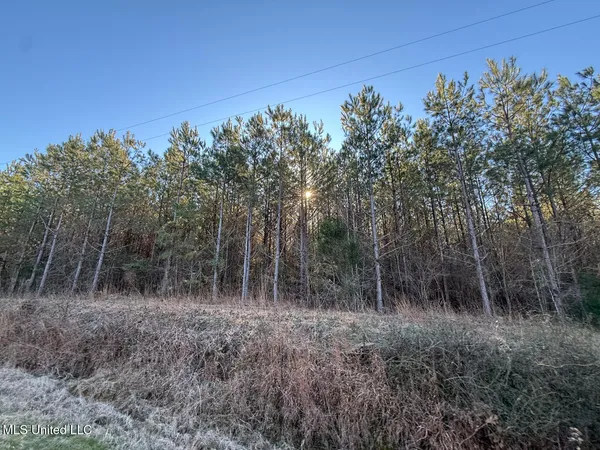 $700,000 | 1145 Ludlow Road, Lena, MS 39094