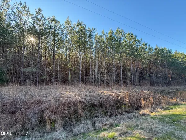 $700,000 | 1145 Ludlow Road, Lena, MS 39094