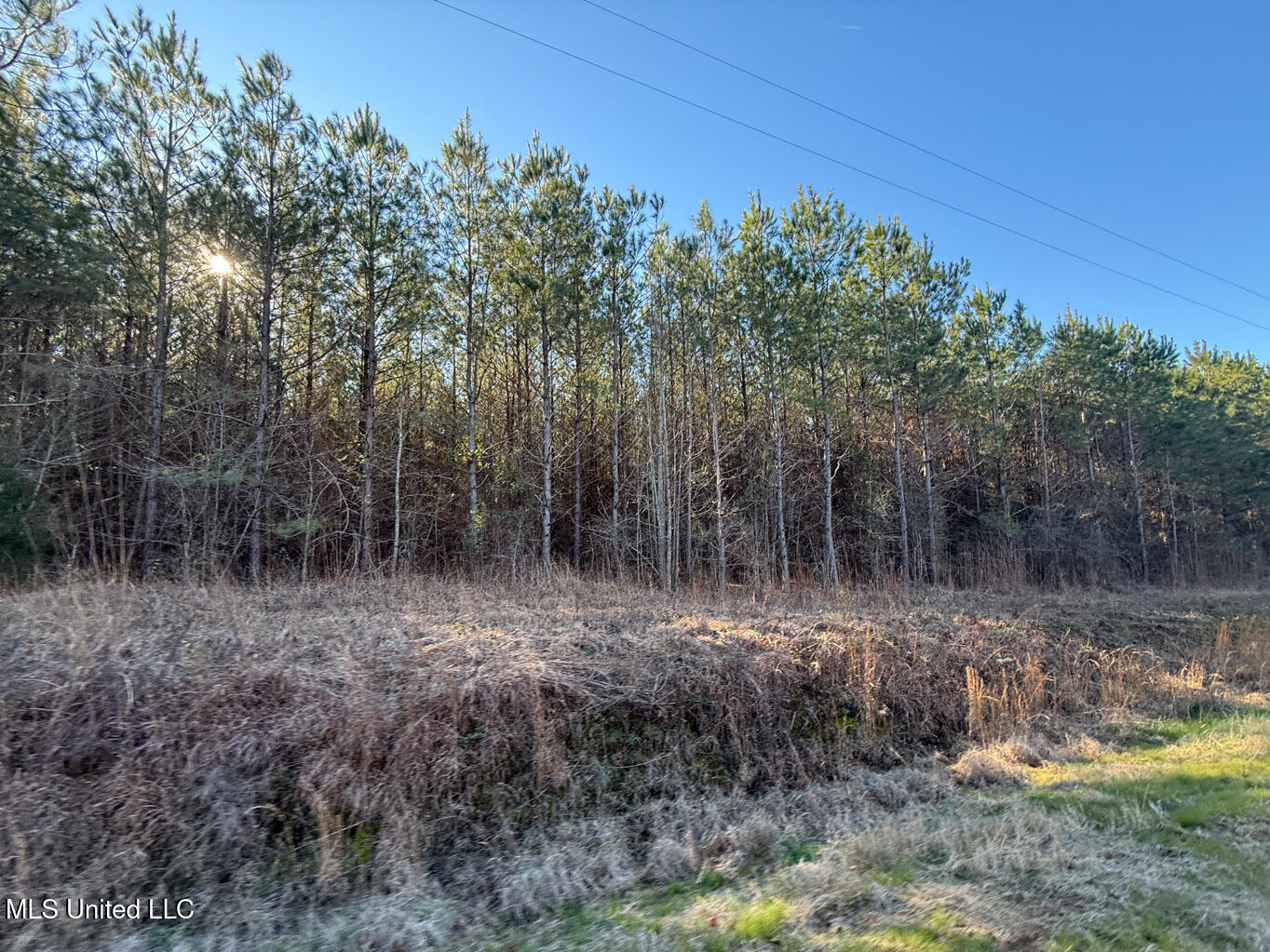 1145 Ludlow Road Lena, MS 39094 - Photo 73 of 76 Leake 250 resized-73