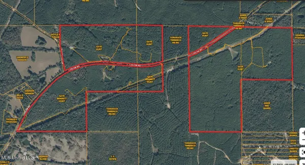 $700,000 | 1145 Ludlow Road, Lena, MS 39094