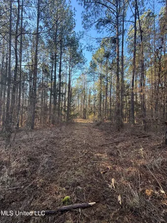 $700,000 | 1145 Ludlow Road, Lena, MS 39094