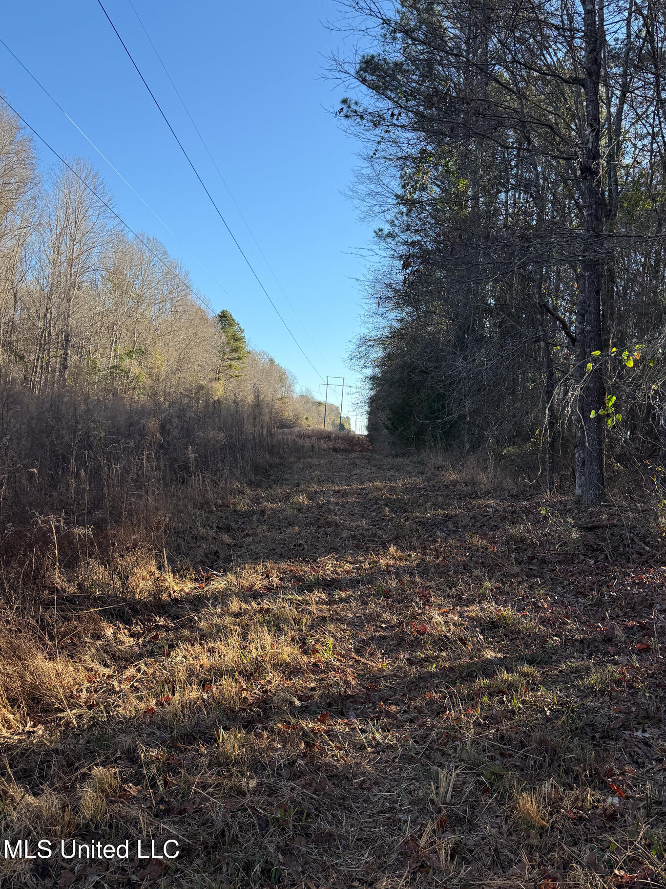 1145 Ludlow Road Lena, MS 39094 - Photo 9 of 76 Leake 250 resized-15