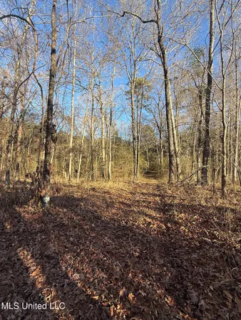 $700,000 | 1145 Ludlow Road, Lena, MS 39094