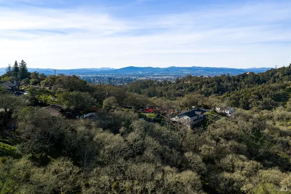 a view of a city with lush green forest