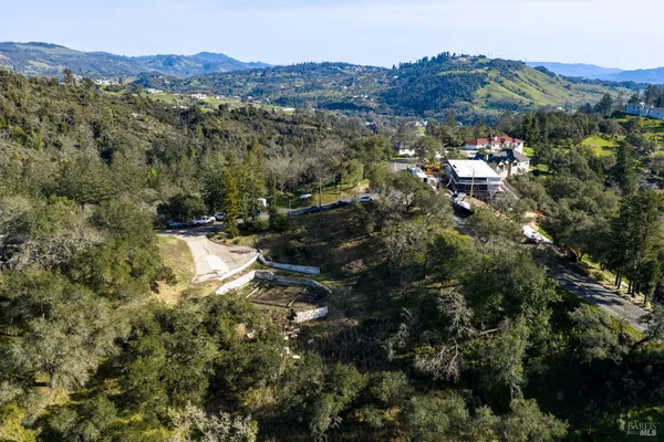 an aerial view of houses covered in trees