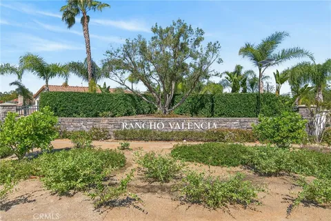 a view of a street with a palm tree