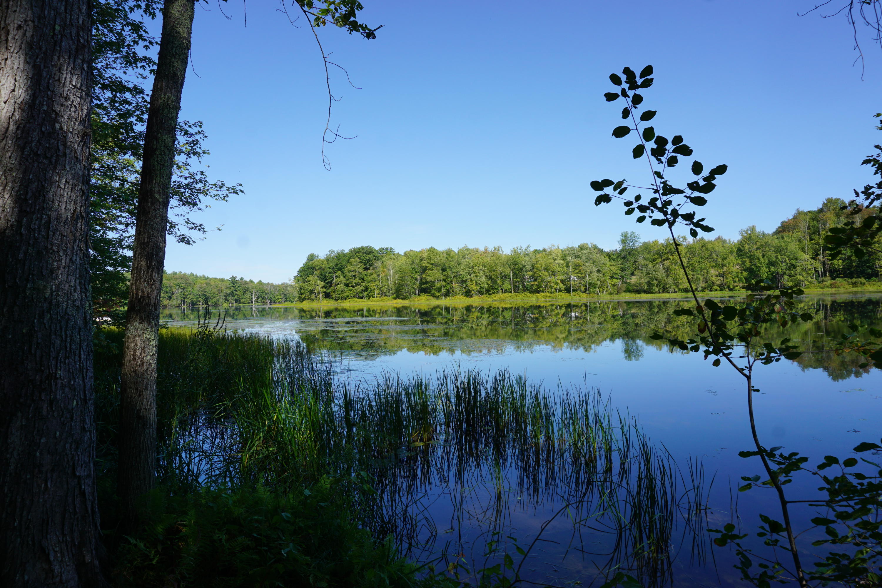 0 Lunts Hill Road Litchfield, ME 04350 - Photo 7 of 17 DSC03024