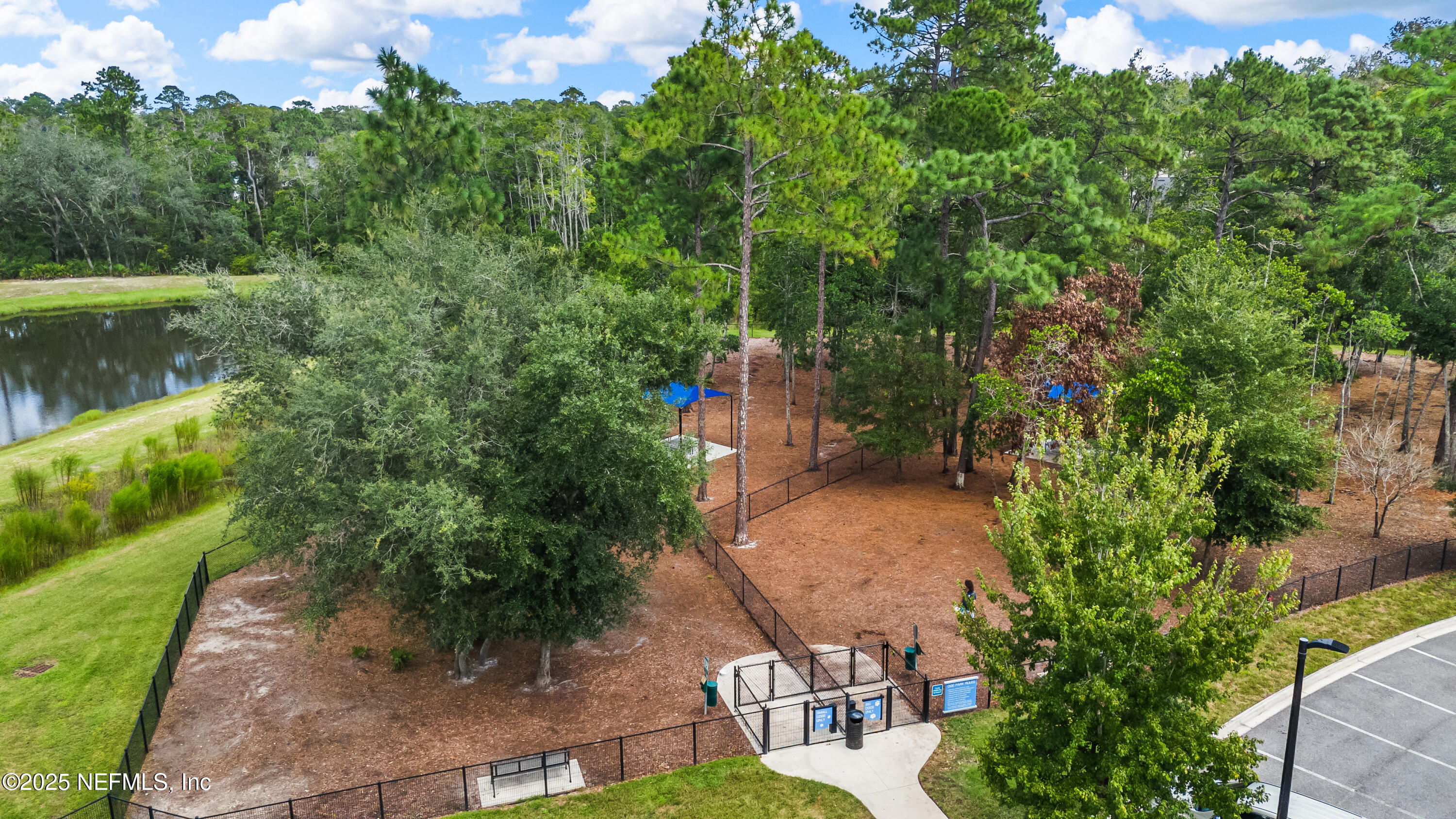 10459 Innovation Way Jacksonville, FL 32256 - Photo 46 of 54 a view of yard with green space