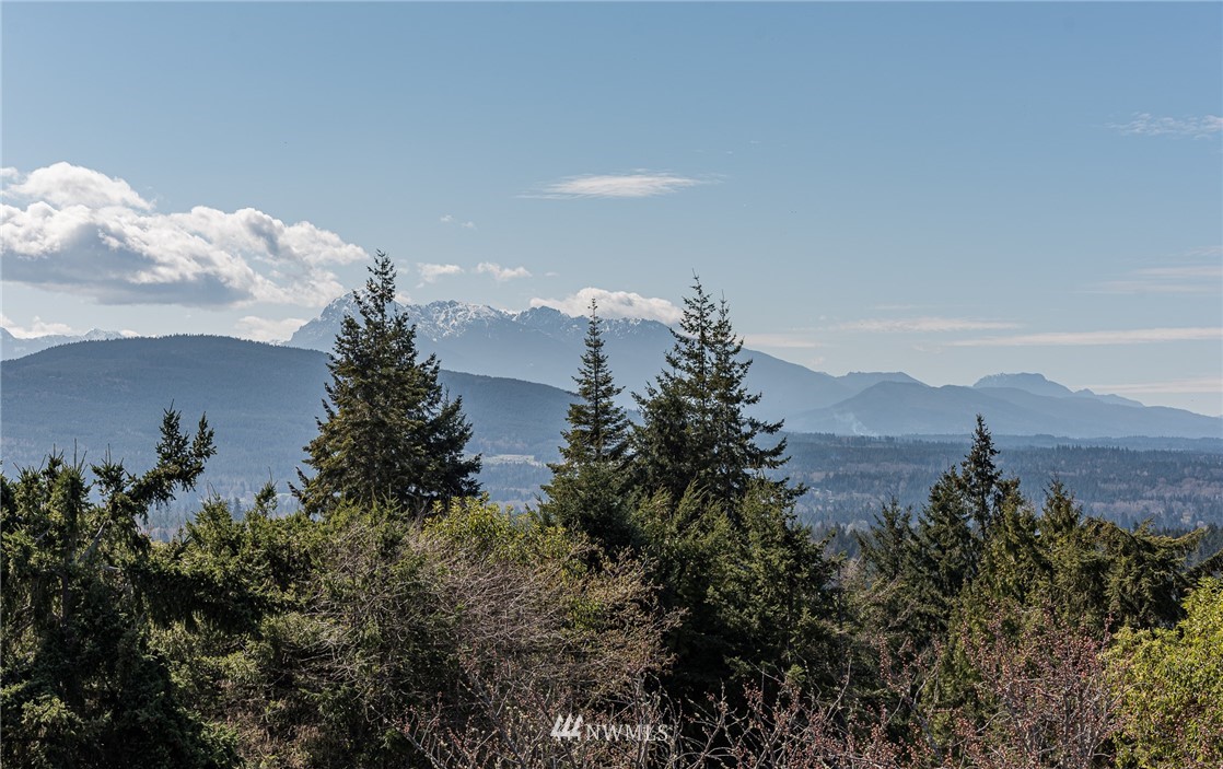 543 Ravens Ridge Road Sequim, WA 98382 - Photo 4 of 40 an aerial view of a house with a yard and mountain view in back