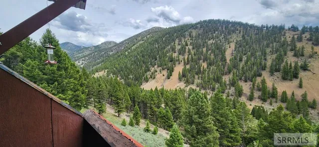 $250,000 | 58 Bighorn Drive, Challis, ID 83226