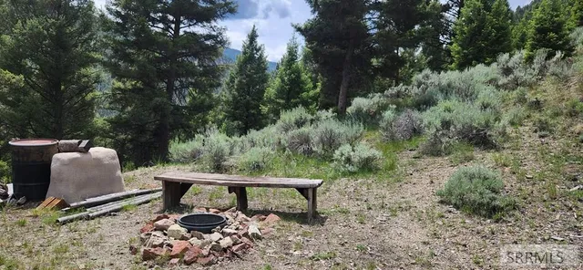 $250,000 | 58 Bighorn Drive, Challis, ID 83226