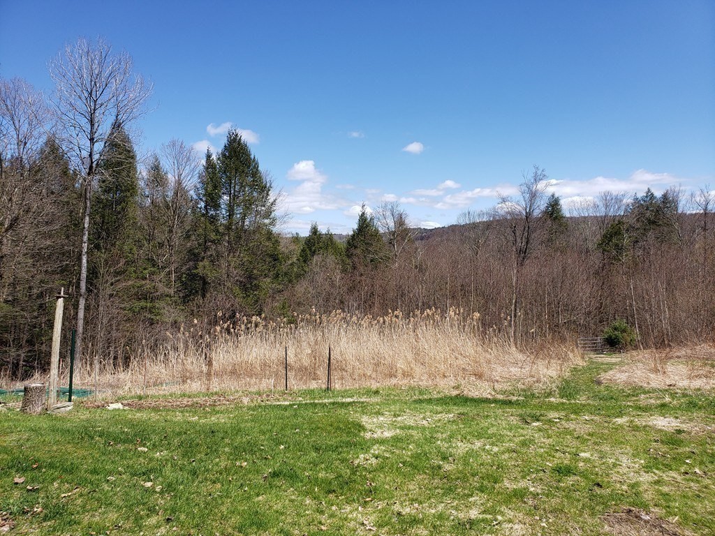 31 Goss Hill Road Huntington, MA 01050 - Photo 9 of 20 a view of a back yard