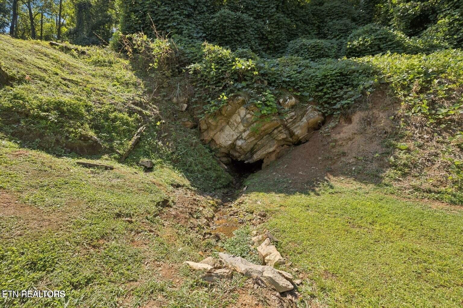 1913 East Union Valley Road Seymour, TN 37865 - Photo 50 of 55