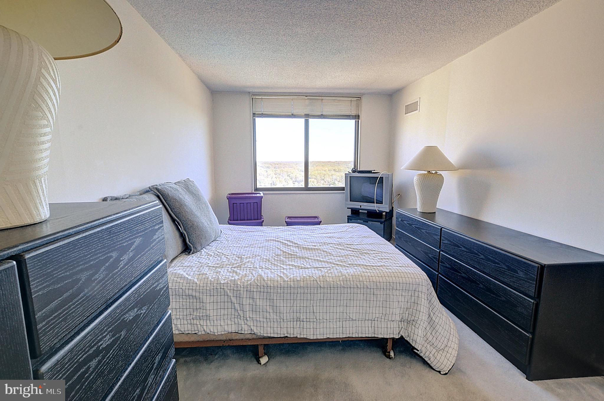5225 Pooks Hill Road, Unit 1717S Bethesda, MD 20814 - Photo 3 of 12 a bedroom with bed and window