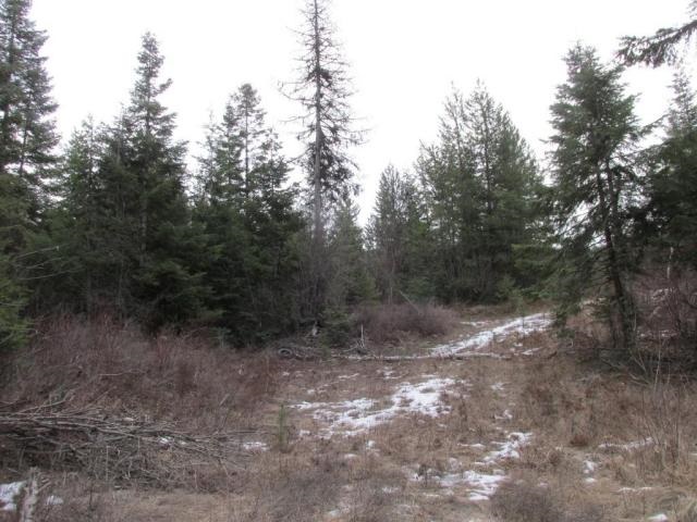 1461 Orin-Rice Road Rice, WA 99167 - Photo 2 of 6