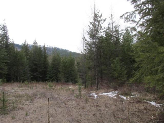 1461 Orin-Rice Road Rice, WA 99167 - Photo 3 of 6