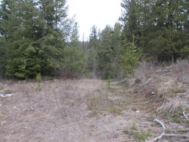 1461 Orin-Rice Road Rice, WA 99167 - Photo 4 of 6