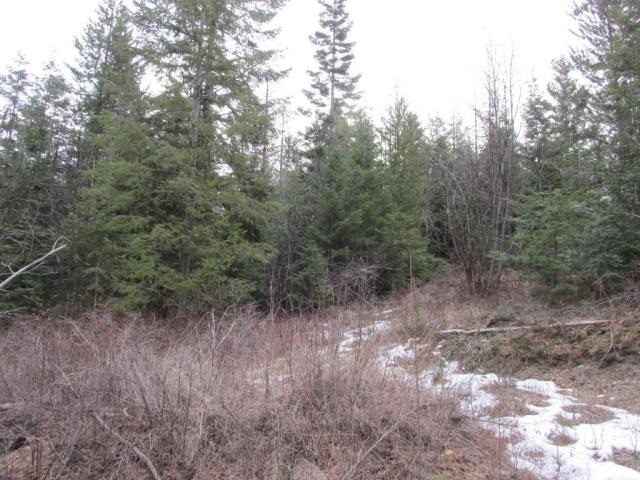 1461 Orin-Rice Road Rice, WA 99167 - Photo 5 of 6