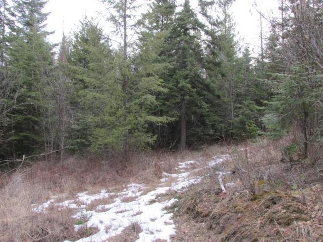 1461 Orin-Rice Road Rice, WA 99167 - Photo 6 of 6