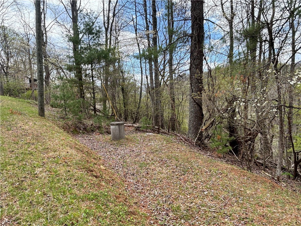 150 Turkey Ridge Crumpler, NC 28617 - Photo 39 of 40 a view of a tree with a yard