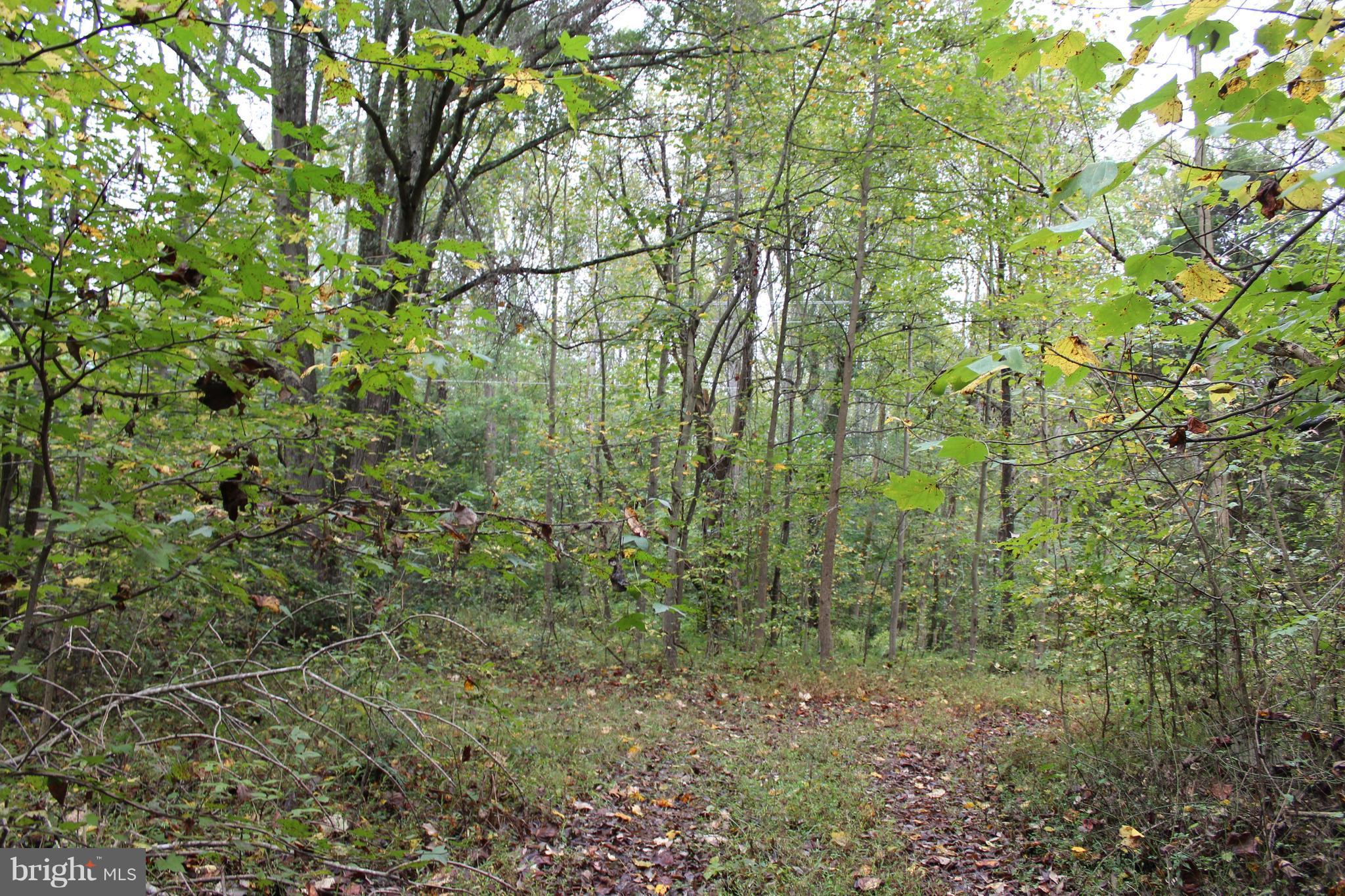 8216 Brock Road Spotsylvania, VA 22553 - Photo 3 of 4 View