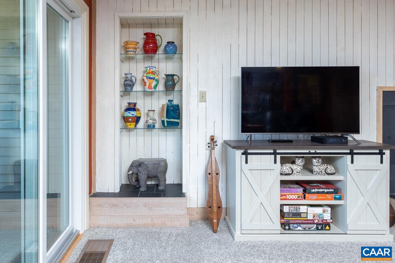 2053 Stone Ridge Roseland, VA 22967 - Photo 11 of 22 a living room with storage and a flat screen tv