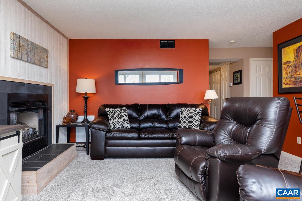2053 Stone Ridge Roseland, VA 22967 - Photo 12 of 22 a living room with furniture and a fireplace
