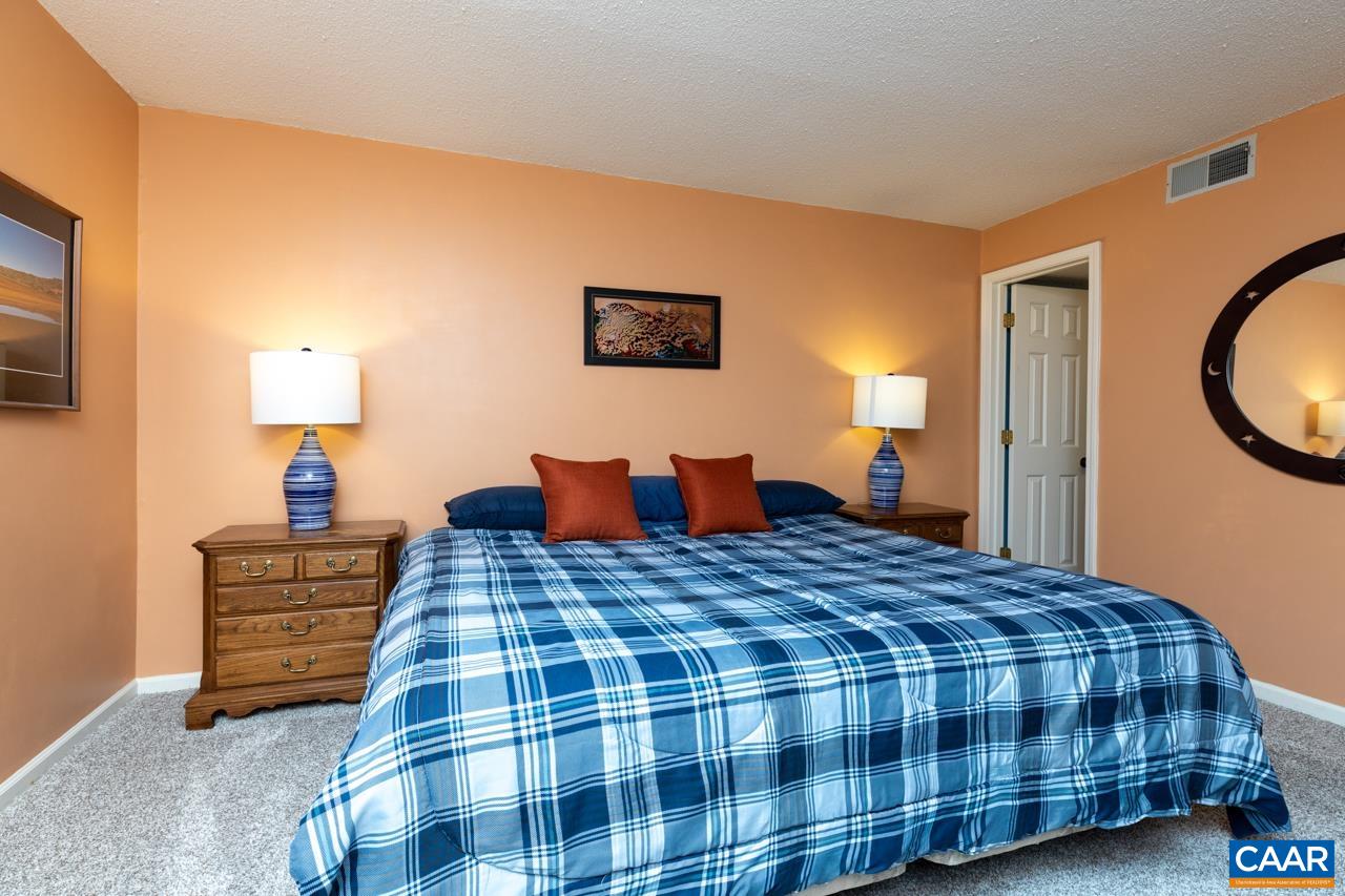 2053 Stone Ridge Roseland, VA 22967 - Photo 15 of 22 a bedroom with a bed and a lamp on dresser