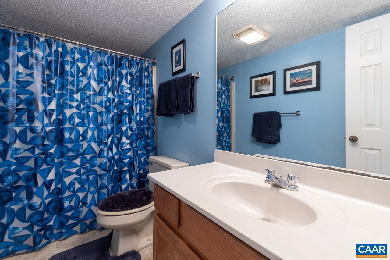 2053 Stone Ridge Roseland, VA 22967 - Photo 16 of 22 a bathroom with a toilet a sink and mirror