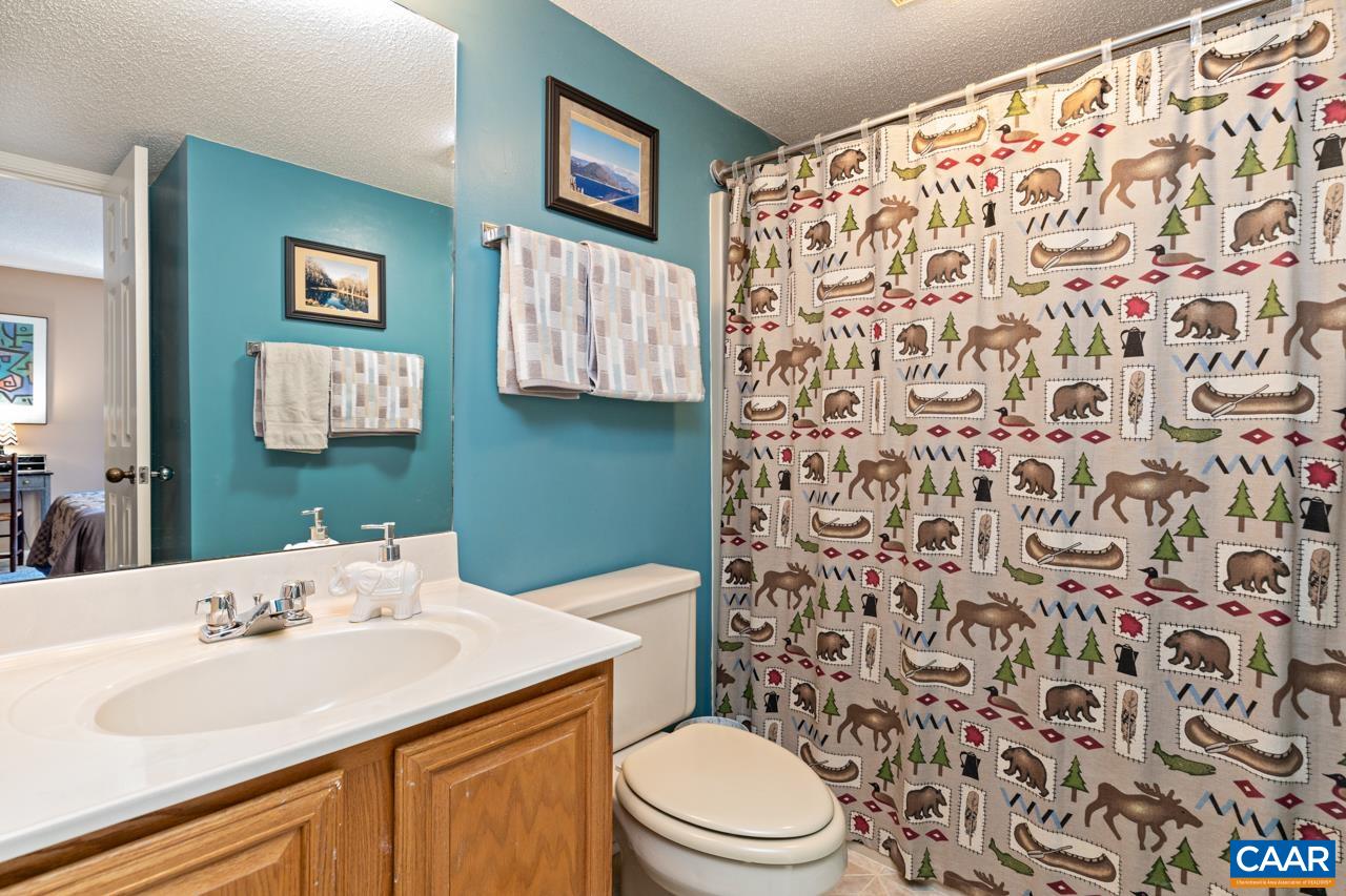 2053 Stone Ridge Roseland, VA 22967 - Photo 20 of 22 a bathroom with a sink toilet and shower
