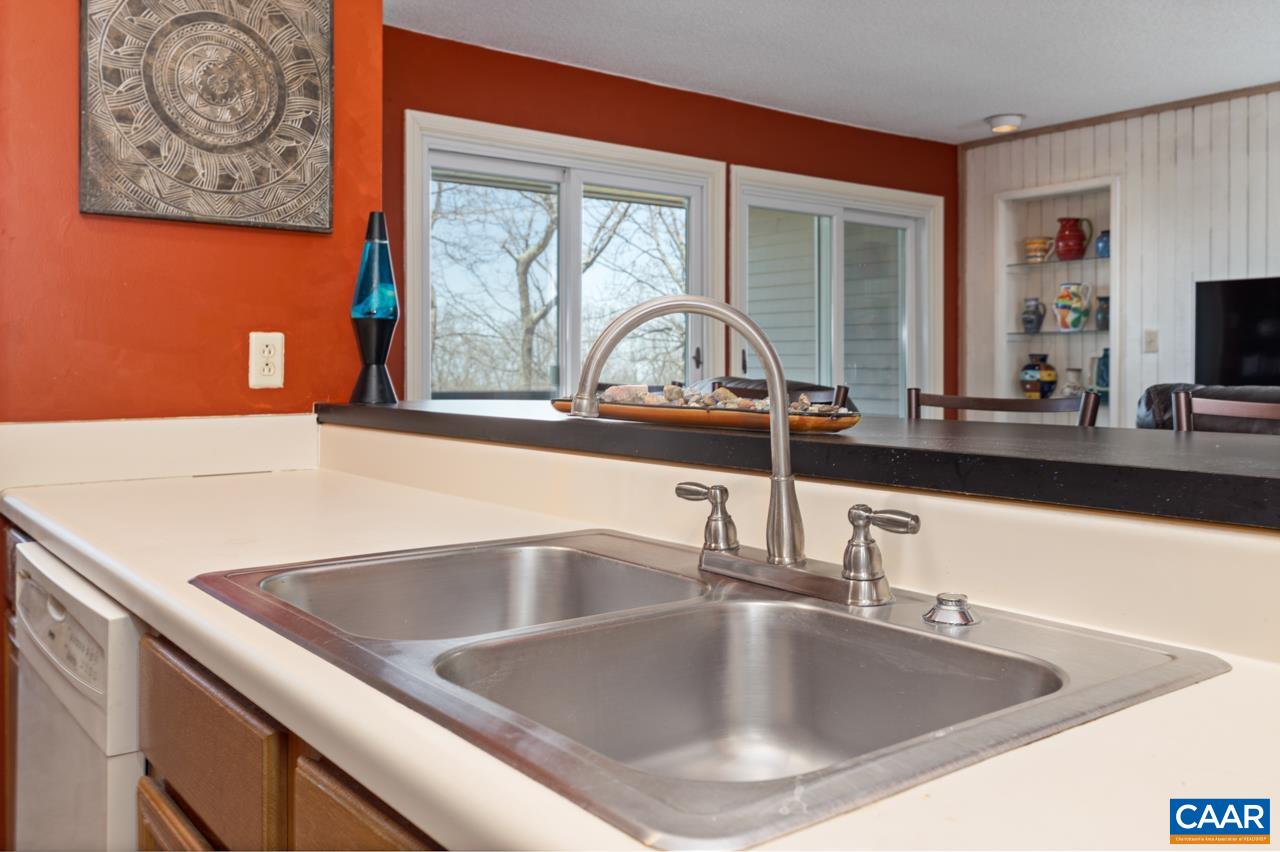 2053 Stone Ridge Roseland, VA 22967 - Photo 5 of 22 a close view of sink and tap