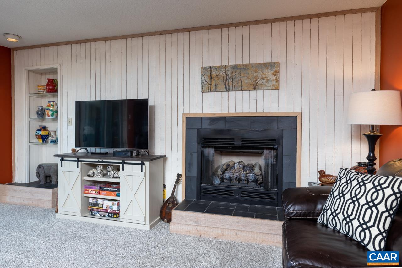 2053 Stone Ridge Roseland, VA 22967 - Photo 10 of 22 a living room with furniture a flat screen tv and a fireplace
