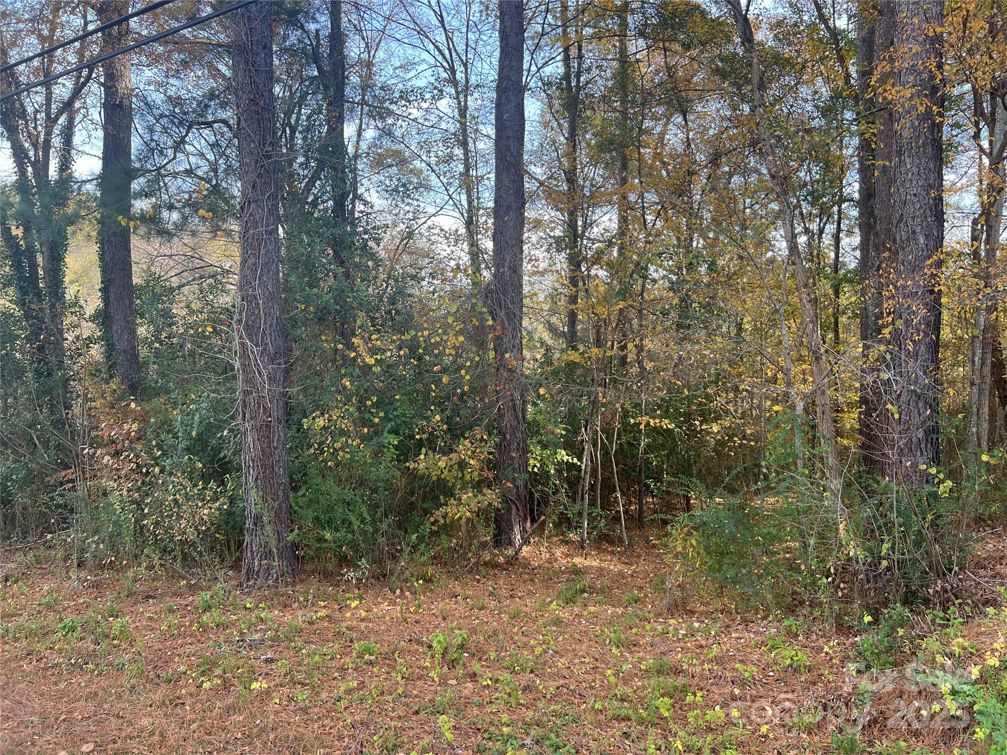 0 East Alexander Street Dallas, NC 28034 - Photo 2 of 3 a view of a forest with trees