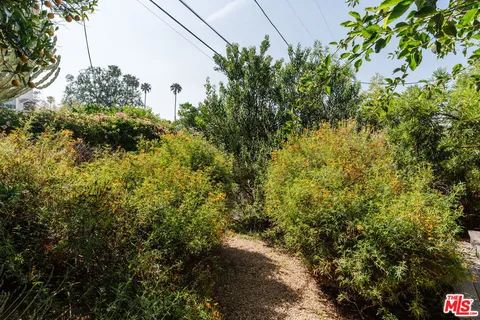 a view of a bunch of plants and trees