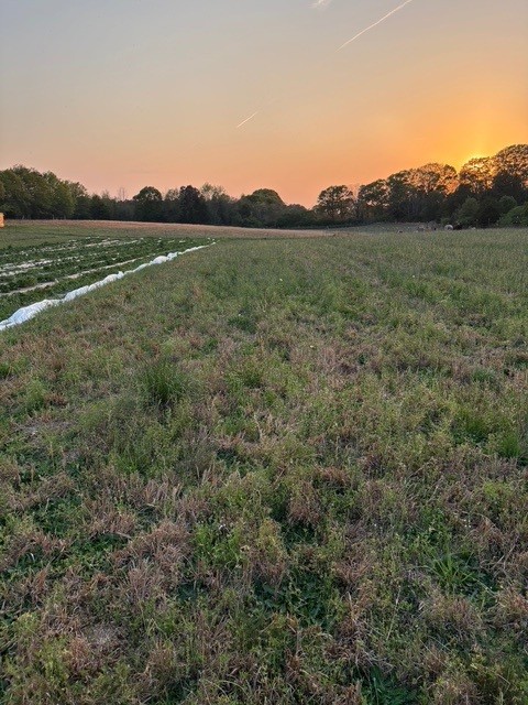 7900 Highway 81 Starr, SC 29684 - Photo 20 of 24