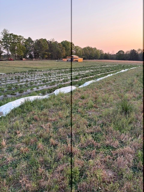 7900 Highway 81 Starr, SC 29684 - Photo 21 of 24